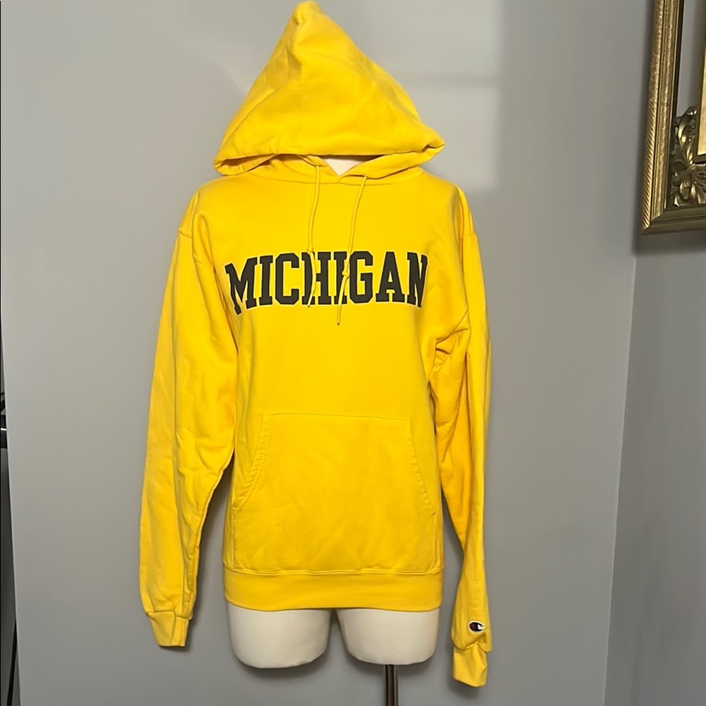 Champion VINTAGE University Of Michigan Small Hoodie Sweatshirt Y2K